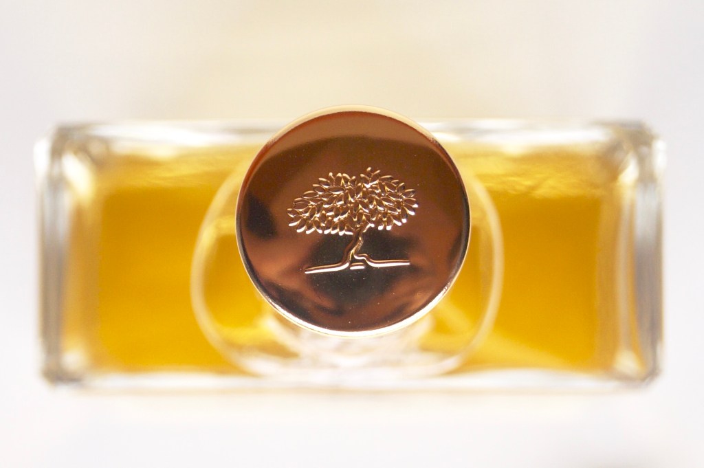 Cheveux secs ? J&rsquo;ai enfin trouvé un remède&nbsp;!